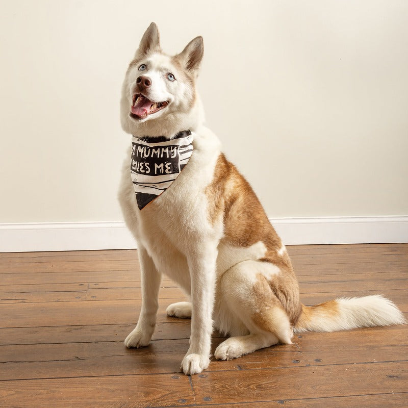 Halloween Reversible Collar Bandana "Sweet & Spooky" / "My Mummy Loves Me" - Southlake Paws