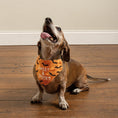 Load image into Gallery viewer, Halloween Reversible Collar Bandana "Sweet & Spooky" / "My Mummy Loves Me" - Southlake Paws

