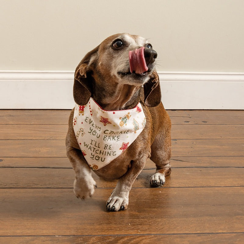 Christmas Reversible Dog Bandana "Elf" / "Cookie Bake" - Southlake Paws