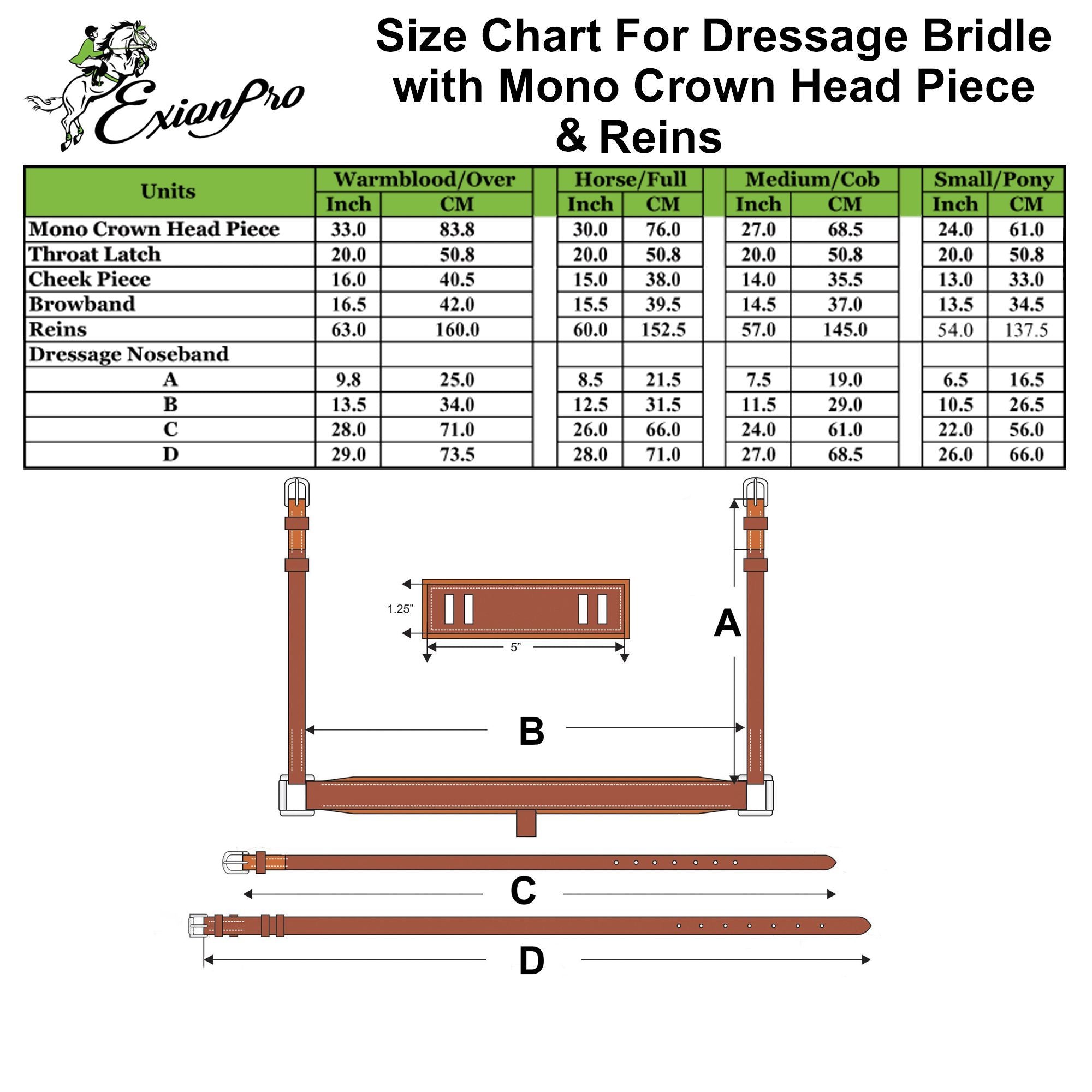 ExionPro Dressage Bridle: Mono Crown, Raised Browband, Anatomical Noseband, Detachable Flash & Web Reins - Southlake Paws