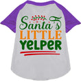 Load image into Gallery viewer, Santa's Little Yelper Pet Raglan Shirt

