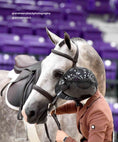 Load image into Gallery viewer, ExionPro Padded Hunter Bridle with Reins - Southlake Paws
