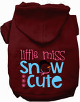 Load image into Gallery viewer, Little Miss Snow Cute Pet Hoodie

