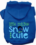 Load image into Gallery viewer, Little Mister Snow Cute Pet Hoodie
