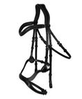 Load image into Gallery viewer, ExionPro Anatomical Combined Flash Bridle with Reins
