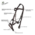 Load image into Gallery viewer, Replacement Noseband of ExionPro Anatomical Combined Flash Bridle with Reins
