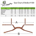 Load image into Gallery viewer, ExionPro Anatomical Combined Flash Bridle with Reins
