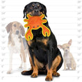 Load image into Gallery viewer, duraforce® Crab
