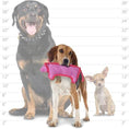 Load image into Gallery viewer, duraforce® Pig
