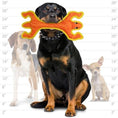 Load image into Gallery viewer, duraforce® Lizard
