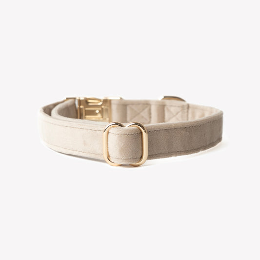 'Sand' - Velvet Dog Collar 