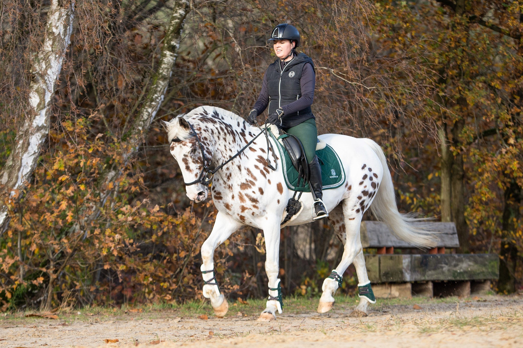 Southlake Paws Pine Grove Open-front Boots on a horse, rider in equestrian gear, autumn foliage in the background.