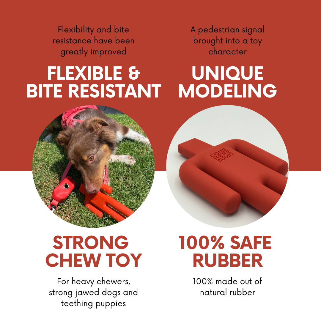 Dog Chew Toy - Southlake Paws