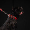Load image into Gallery viewer, The "Balteus" red collar - Southlake Paws

