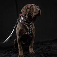 Load image into Gallery viewer, The "Ariel" collar
