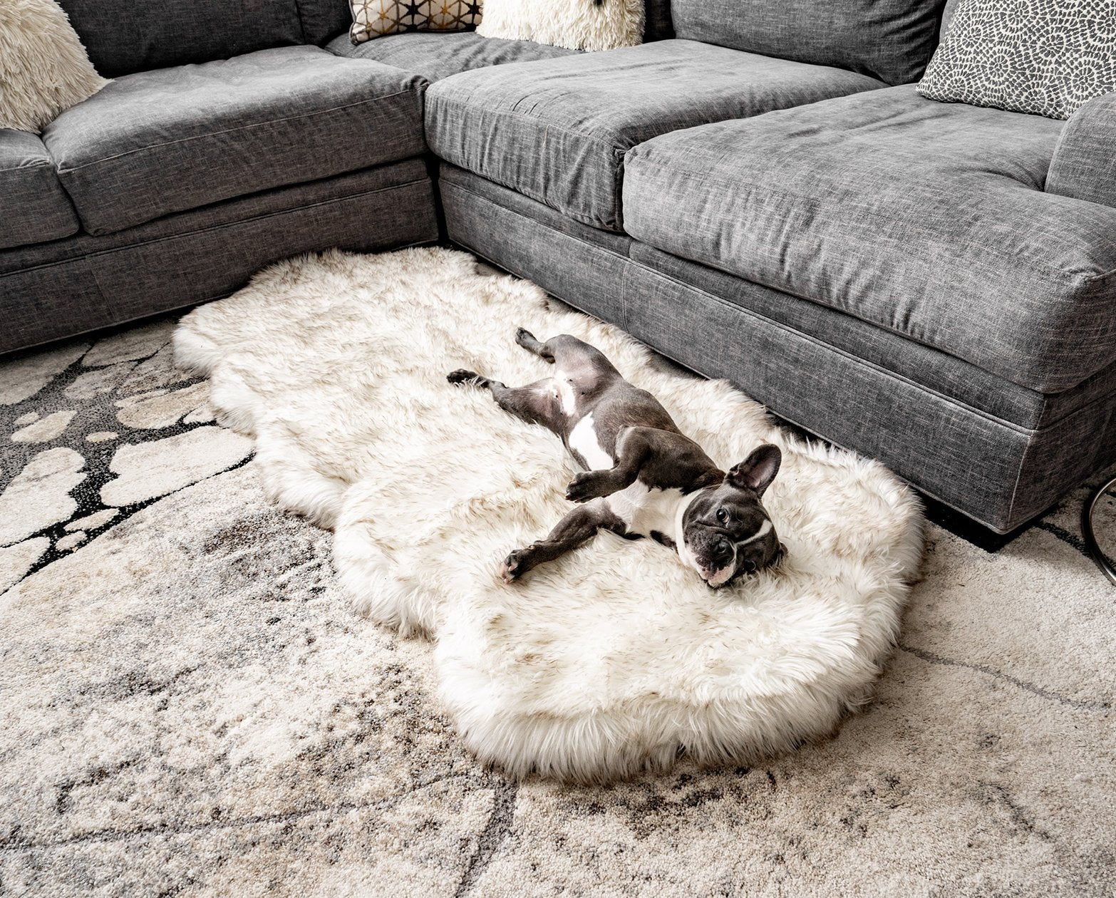 PupRug™ Runner Faux Fur Memory Foam Dog Bed - Curve White with Brown Accents - Southlake Paws