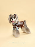 Load image into Gallery viewer, Bluebell Stripes Sweater 
