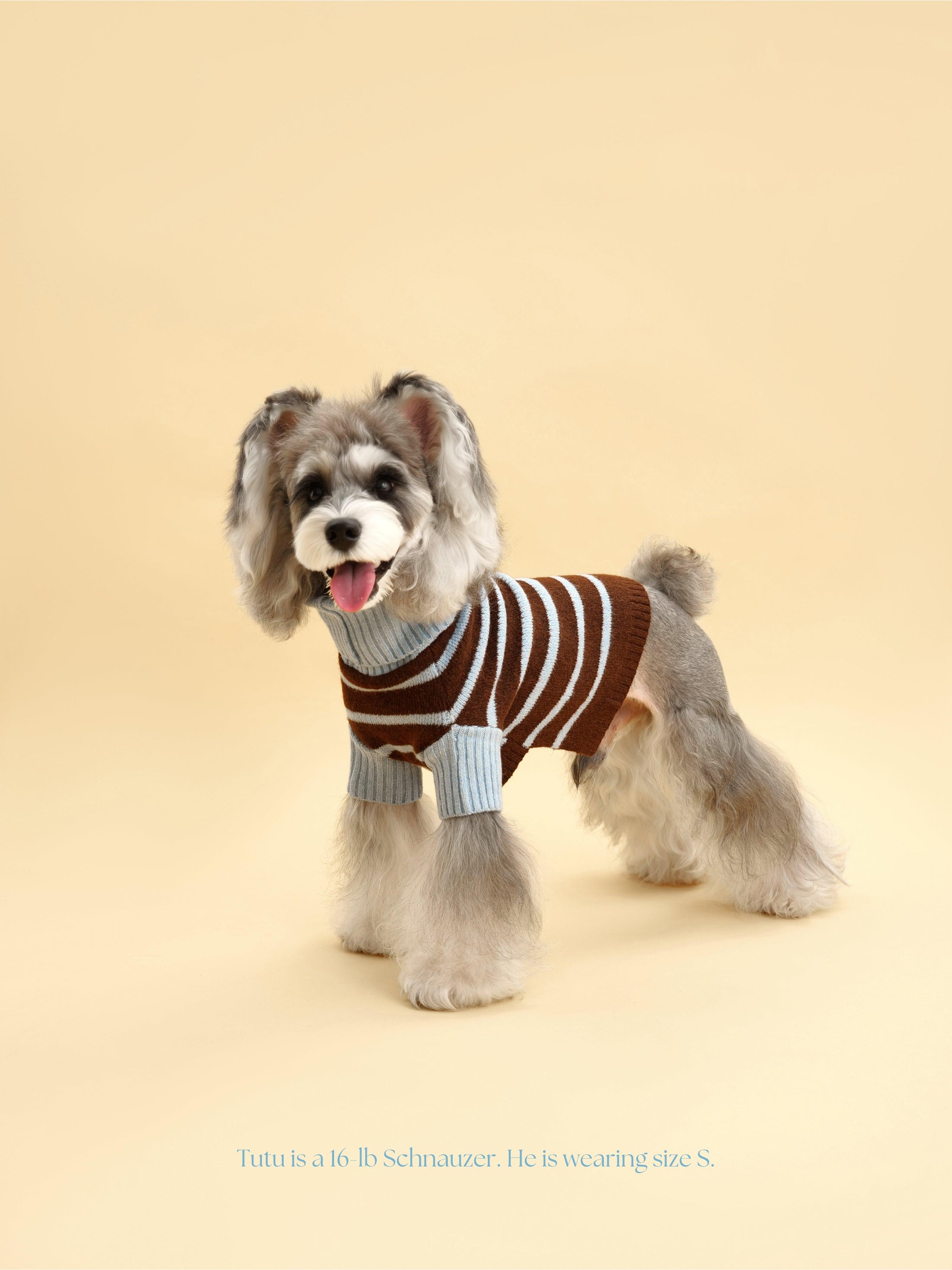 Bluebell Stripes Sweater 