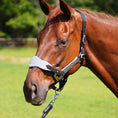 Load image into Gallery viewer, Southlake Paws Magna Halter™ in Black featuring a fleece noseband and leather breakaway, fitted on a horse's head outdoors.
