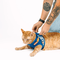 Load image into Gallery viewer, Atlas Cat Harness & Leash Set
