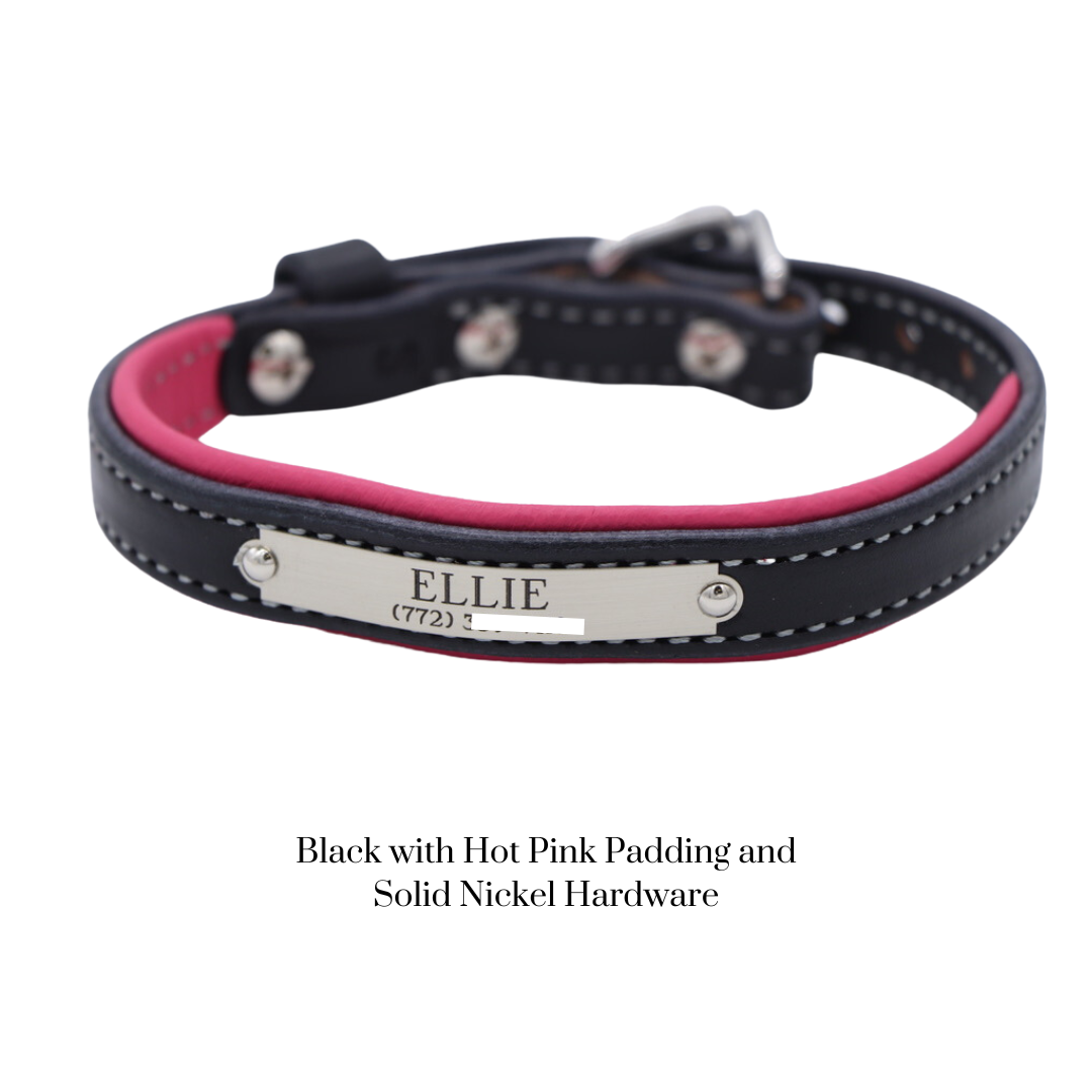 Padded Dog Collar - image 6