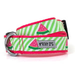 Green Stripe Watermelon Bow Tie