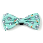Bunnies Collar & Lead Collection
