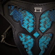 The ''Morelia Python'' harness 