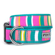 Fiesta Stripe Collar & Lead Collection