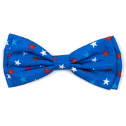Patriotic Stars Collar & Lead Collection
