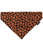 Jack-O'-Lantern Collar & Lead Collection