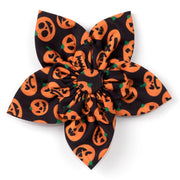 Jack-O'-Lantern Collar & Lead Collection