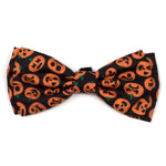 Jack-O'-Lantern Collar & Lead Collection