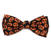 Jack-O'-Lantern Collar & Lead Collection