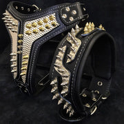 The ''Platinum'' collar 