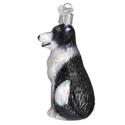 Border Collie Ornament