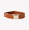 Load image into Gallery viewer, 'Clay' - Velvet Dog Collar 
