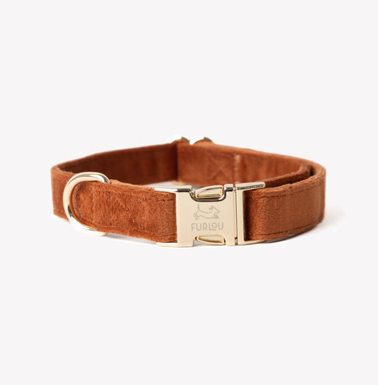 'Clay' - Velvet Dog Collar 