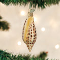 Load image into Gallery viewer, Junonia Shell Ornament - Southlake Paws
