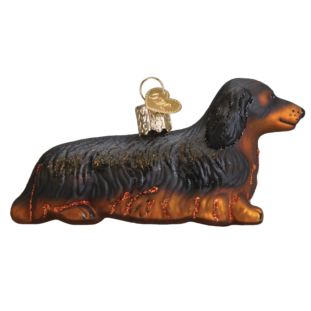 Long-haired Dachshund - Southlake Paws