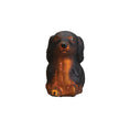 Load image into Gallery viewer, Long-haired Dachshund - Southlake Paws
