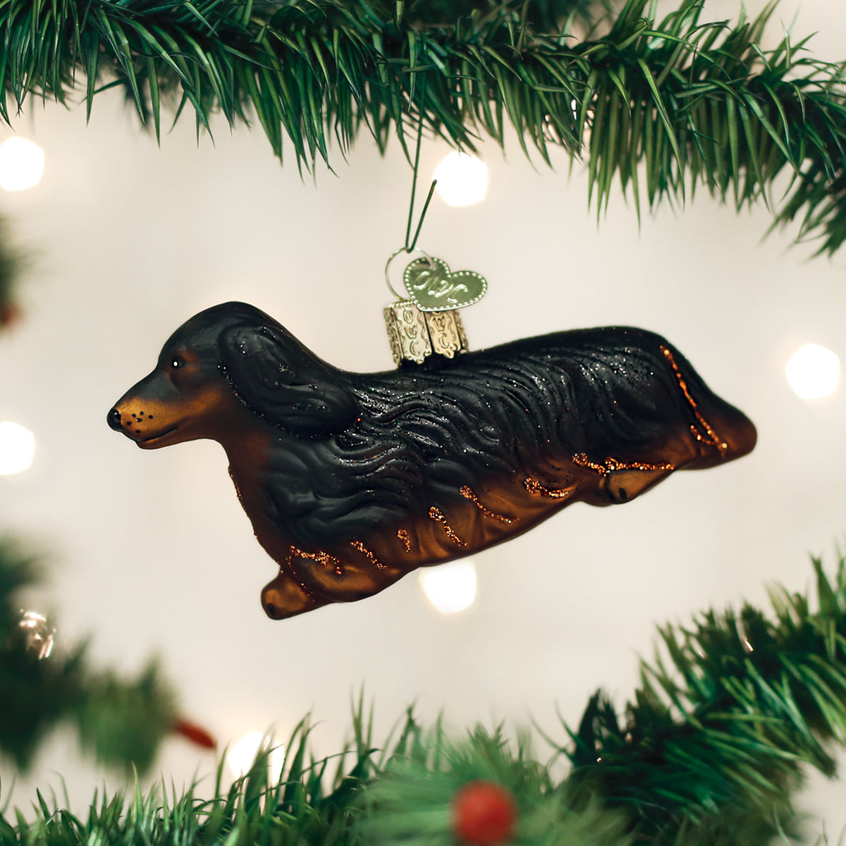 Long-haired Dachshund - Southlake Paws