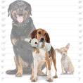 Load image into Gallery viewer, Silly Squeakers®  Liquor Bottle - BarkParty
