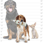 Silly Squeakers®  Liquor Bottle - BarkParty