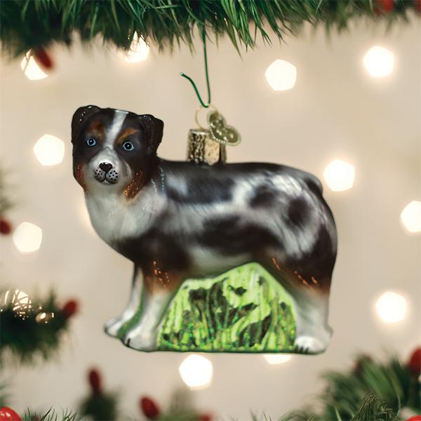 Australian Shepherd - Southlake Paws