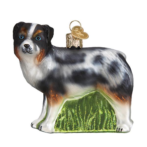 Australian Shepherd - Southlake Paws