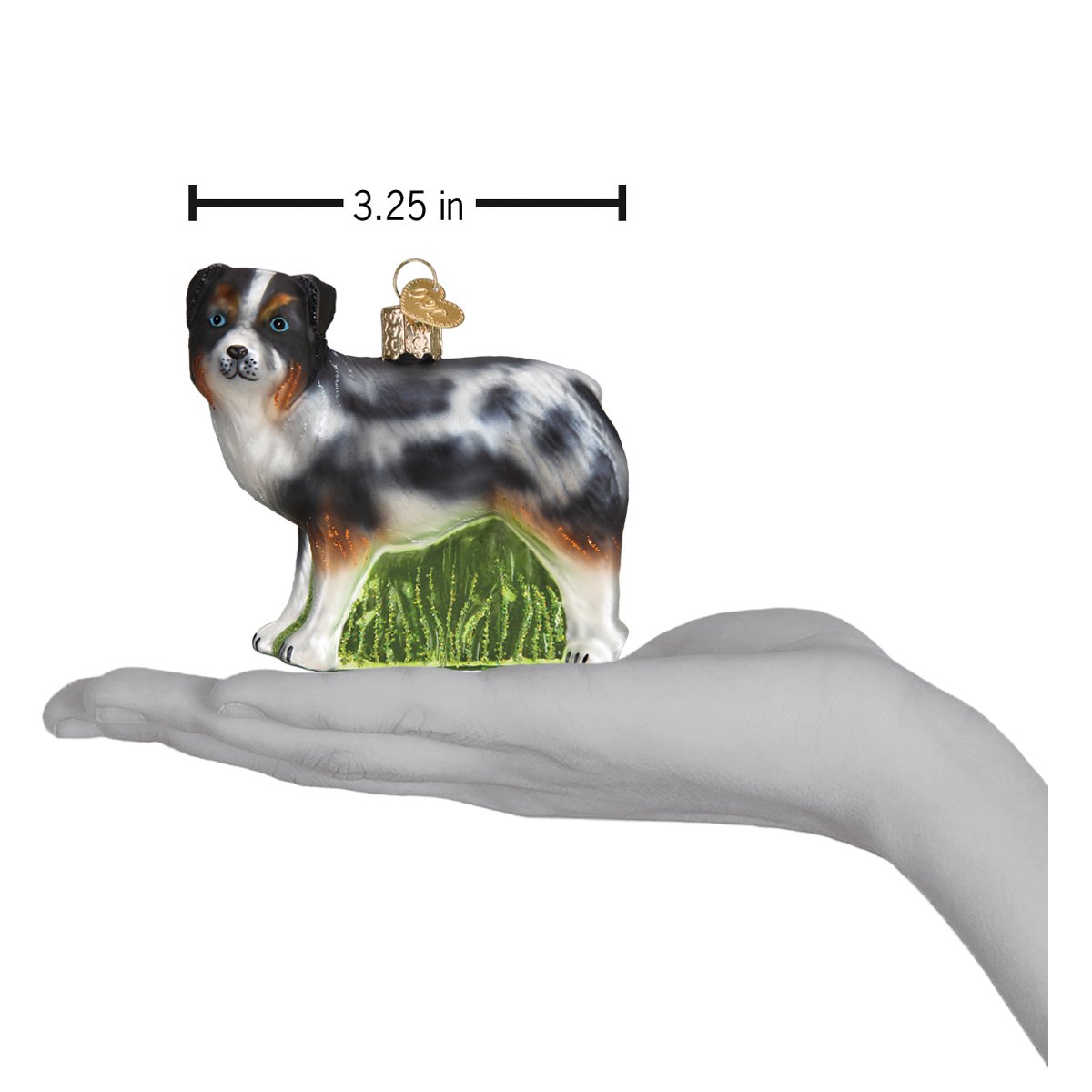 Australian Shepherd - Southlake Paws