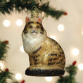 Load image into Gallery viewer, Maine Coon Cat Ornament - Southlake Paws
