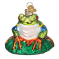 Load image into Gallery viewer, Red-eyed Tree Frog Ornament - Southlake Paws

