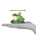Load image into Gallery viewer, Red-eyed Tree Frog Ornament - Southlake Paws
